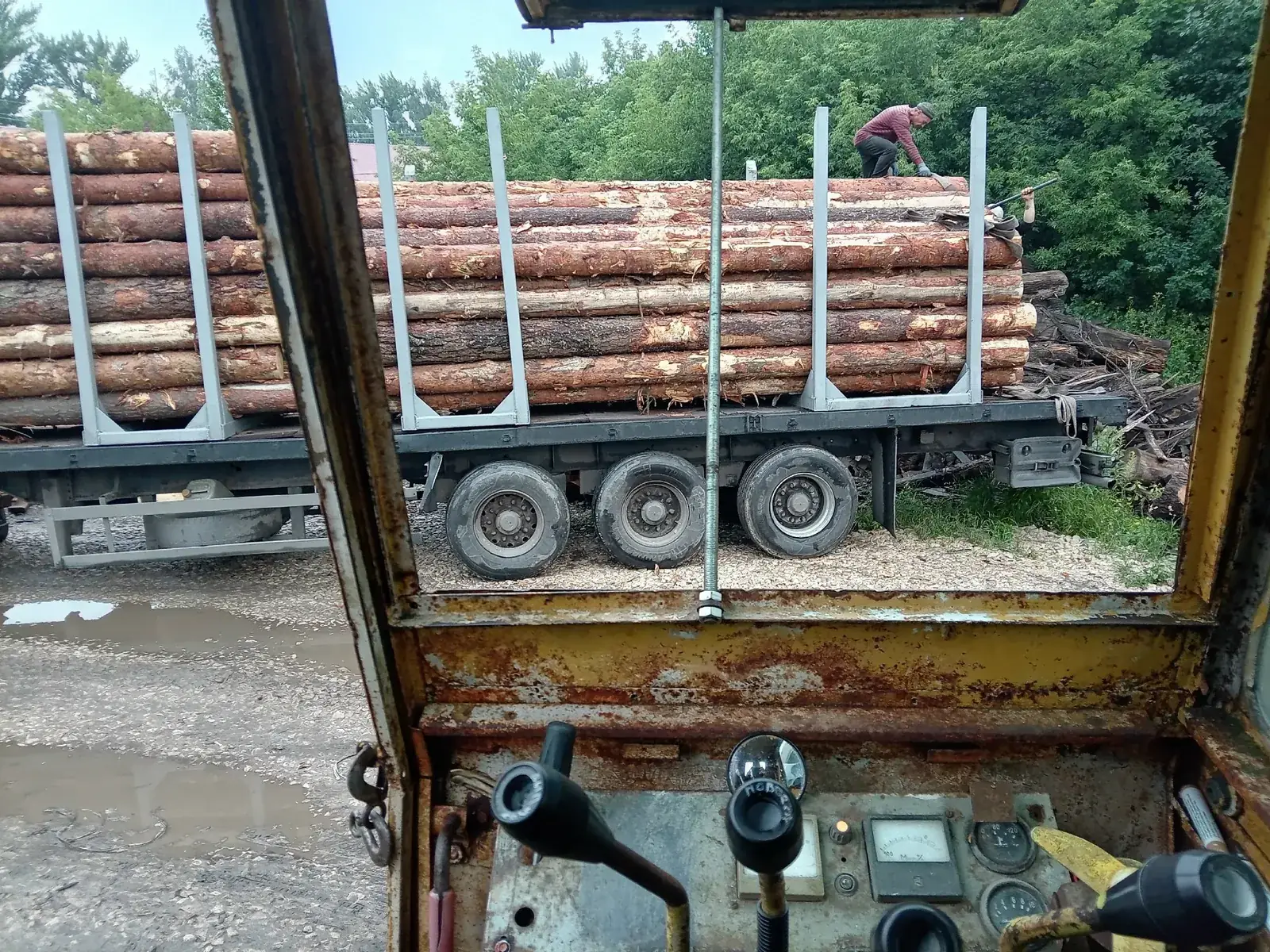 Лесовоз с круглым лесом на производственной площадке